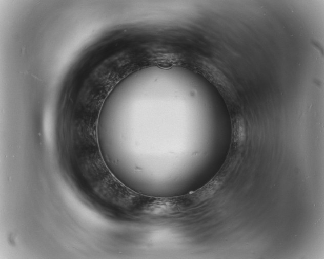 X0000103290764200808291333