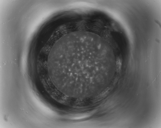 X0000103290765200808291333
