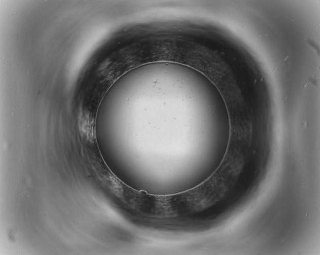 X0000103290766200808291333