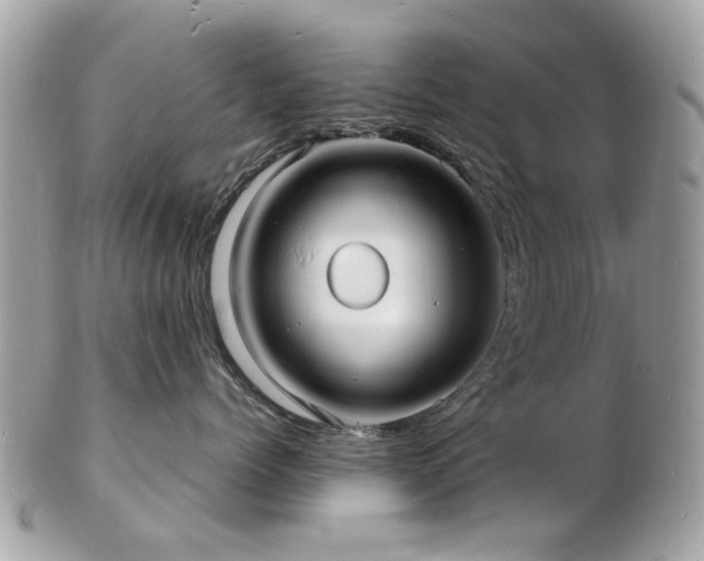 X0000103290768200808291333