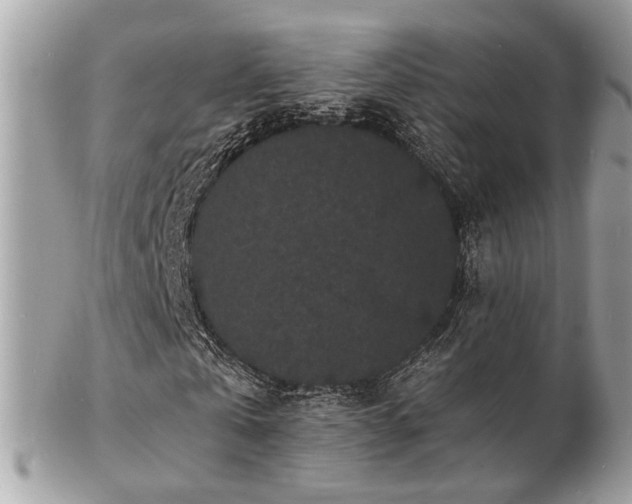 X0000103290769200808291332