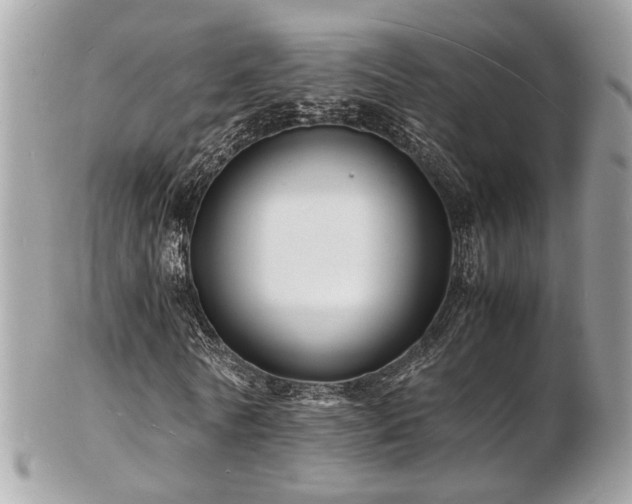 X0000103290770200808291332