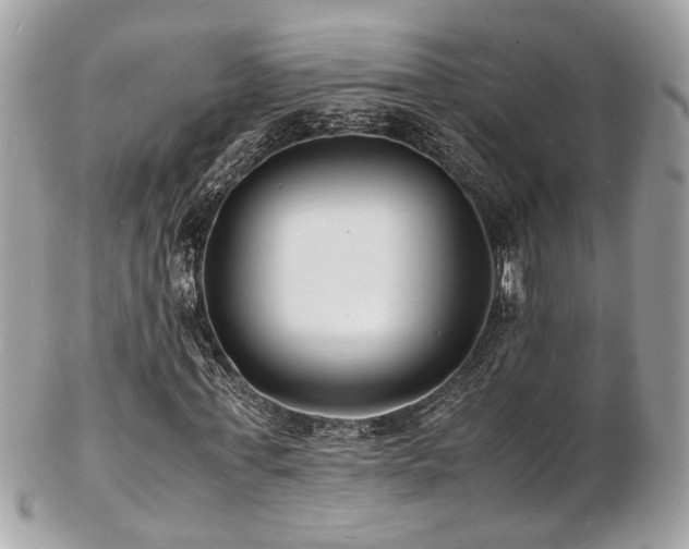 X0000103290771200808291332
