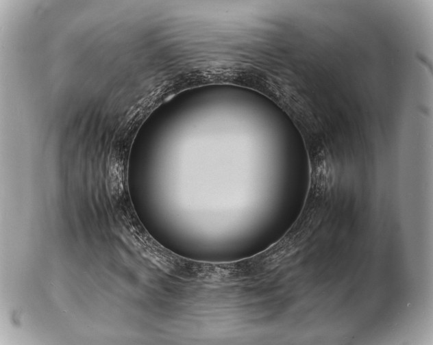 X0000103290772200808291332