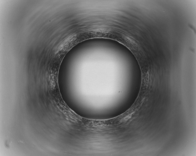 X0000103290774200808291332