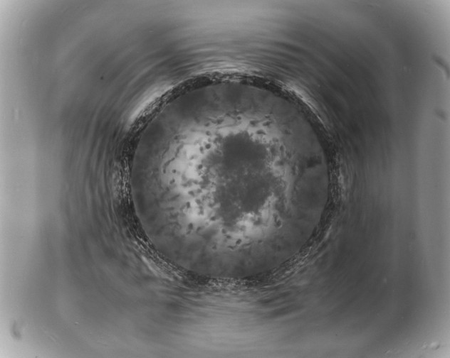 X0000103290775200808291332