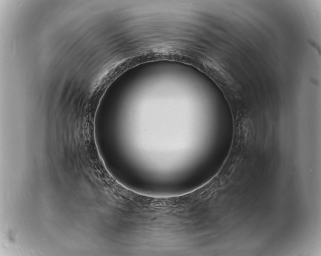 X0000103290776200808291332