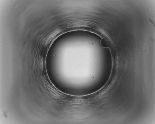 X0000103290777200808291332