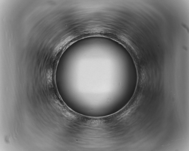 X0000103290778200808291332