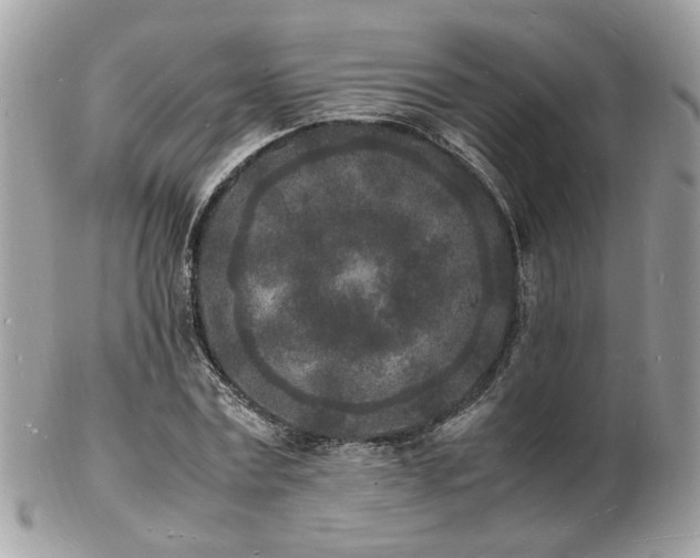 X0000103290779200808291332