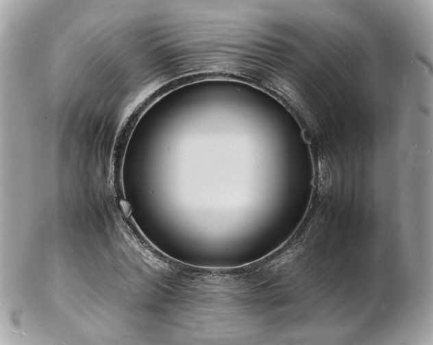 X0000103290780200808291332