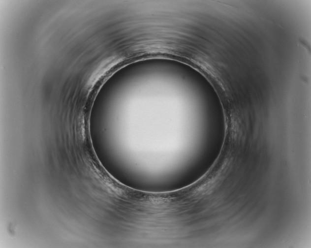 X0000103290782200808291332