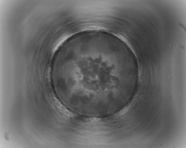 X0000103290783200808291332