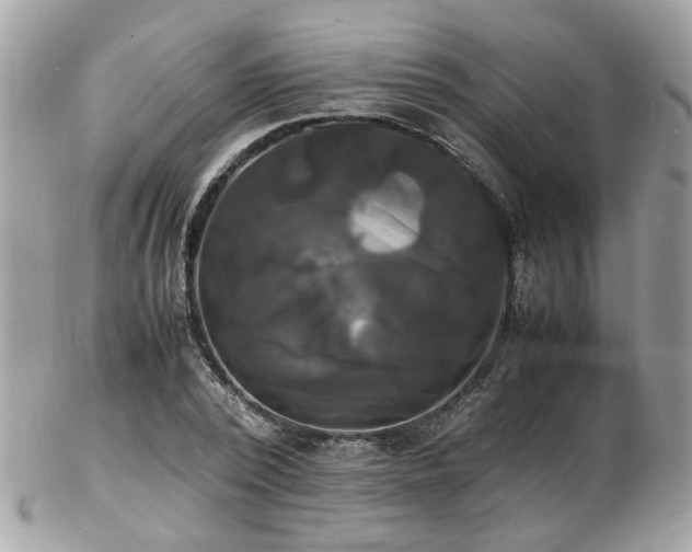 X0000103290784200808291332