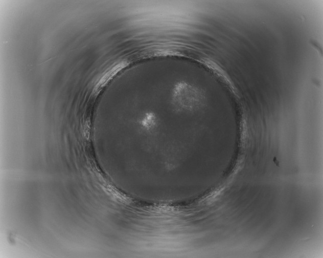 X0000103290785200808291332