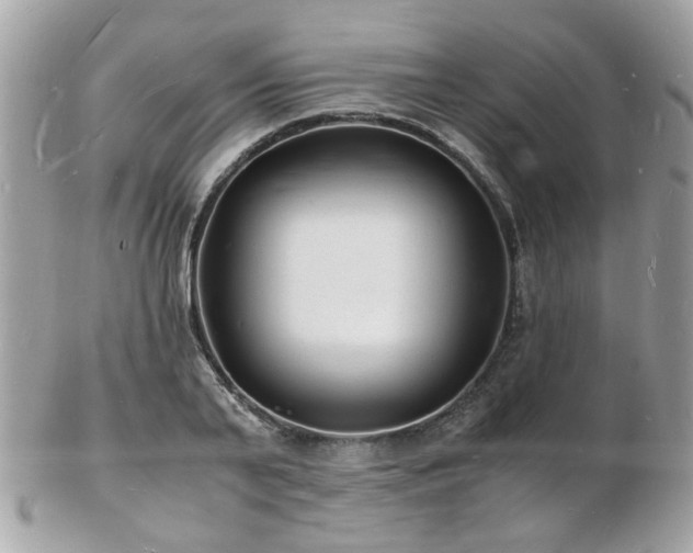 X0000103290791200808291332