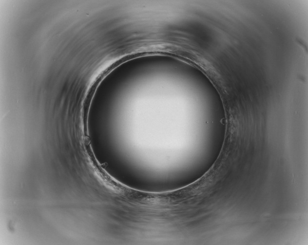 X0000103290792200808291332