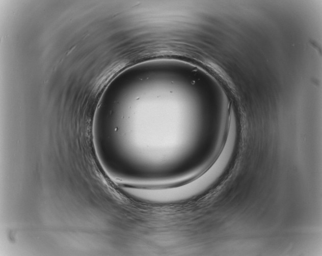 X0000103290793200808291332