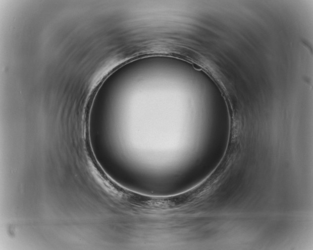 X0000103290795200808291332