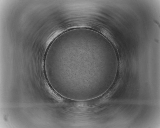 X0000103290797200808291332