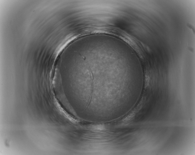 X0000103290798200808291332