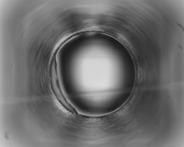 X0000103290800200808291332