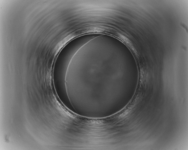 X0000103290802200808291332