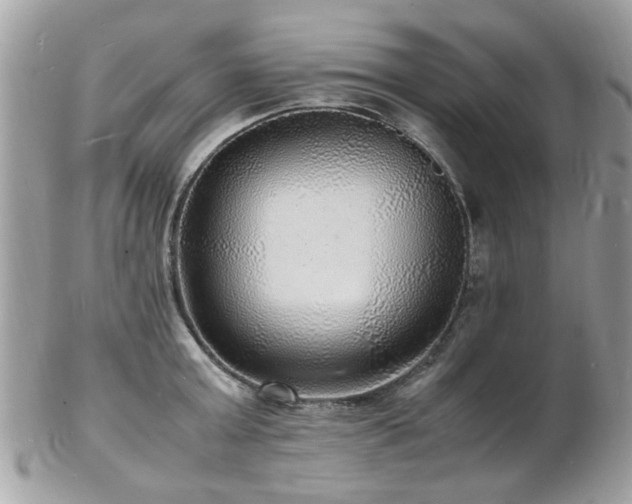 X0000103290803200808291332