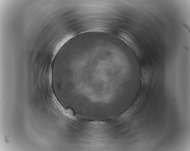 X0000103290804200808291332