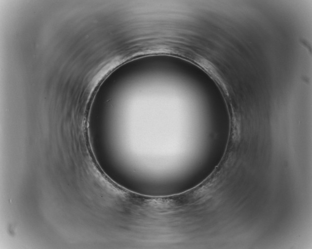 X0000103290805200808291332