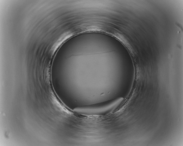 X0000103290806200808291332