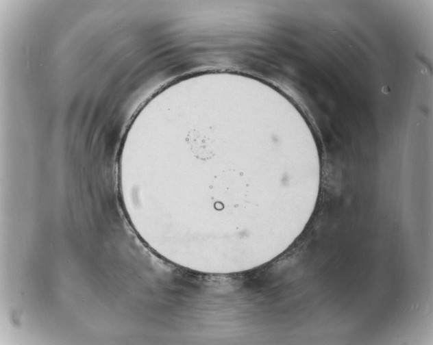 X0000103290807200808291332
