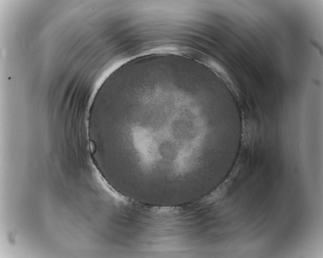 X0000103290808200808291332
