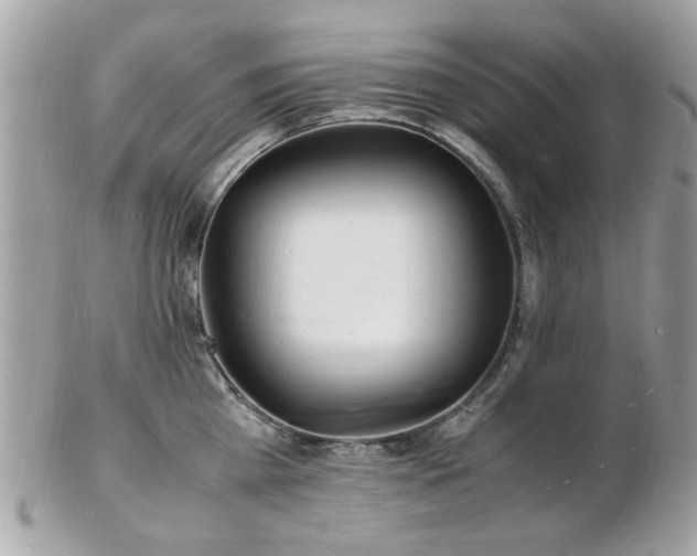 X0000103290809200808291332