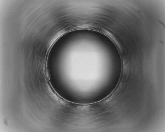 X0000103290810200808291332