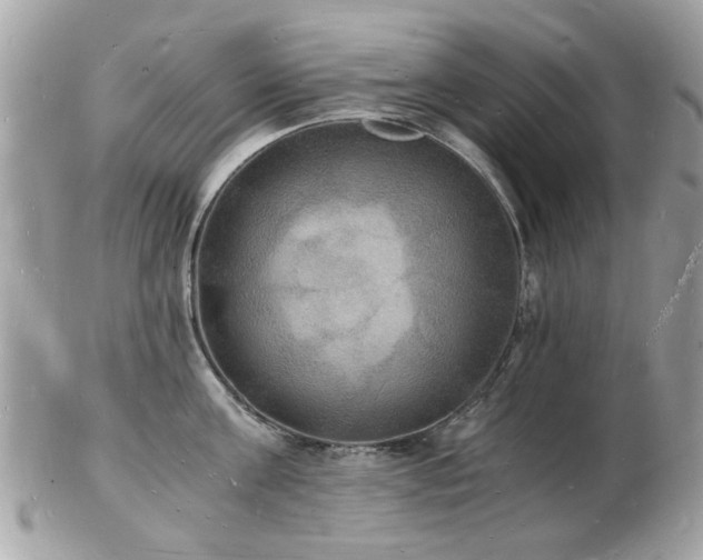 X0000103290811200808291332