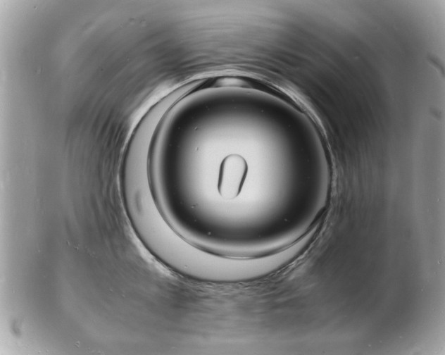 X0000103290813200808291332