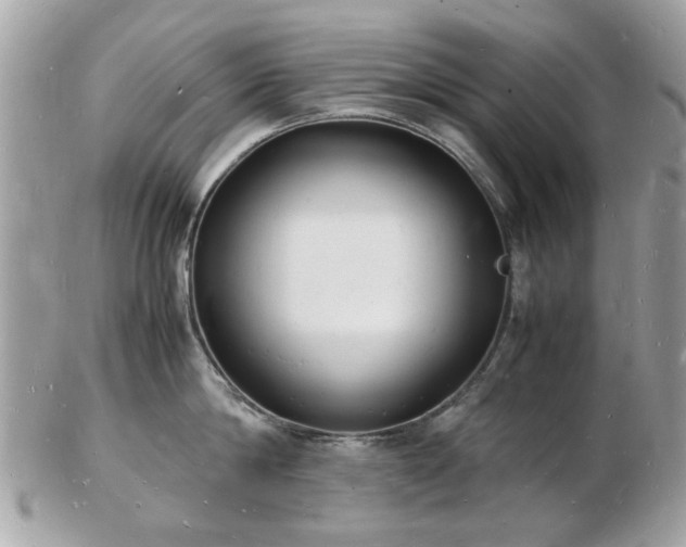 X0000103290814200808291332