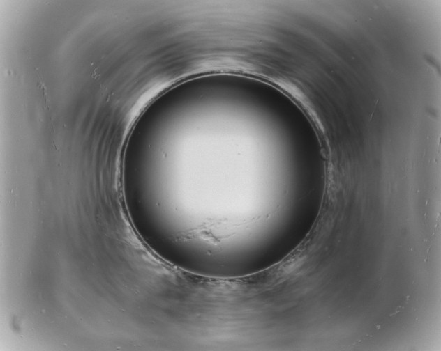 X0000103290815200808291332
