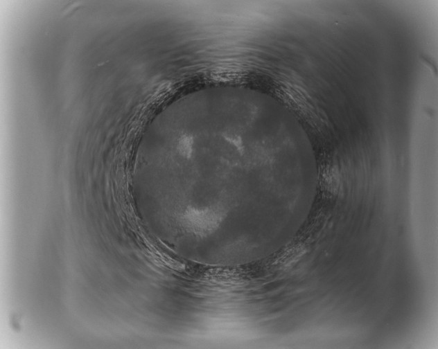 X0000103290817200808291331