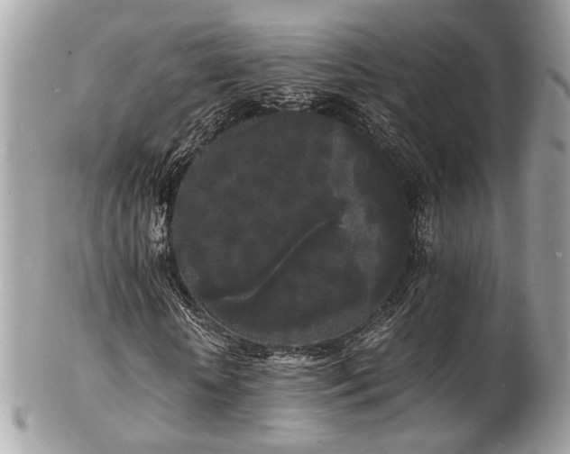 X0000103290818200808291331
