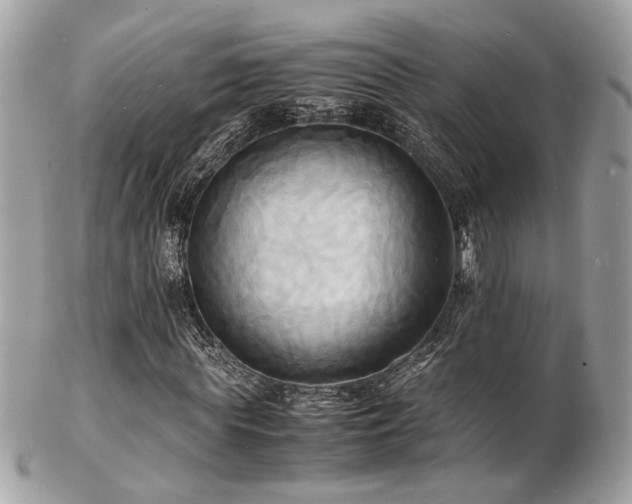 X0000103290819200808291331