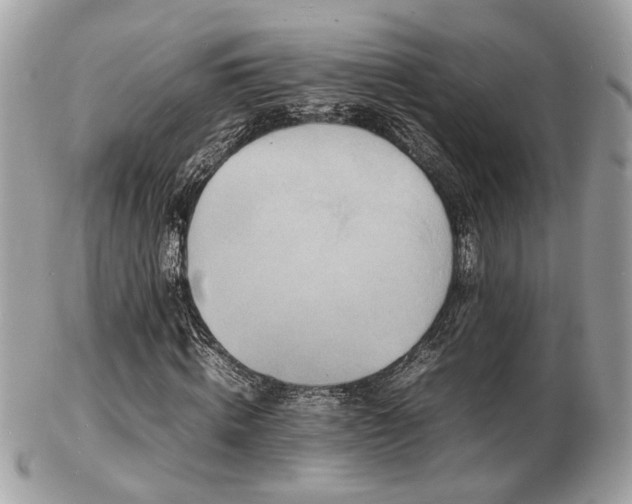 X0000103290820200808291331