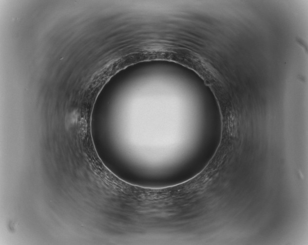 X0000103290821200808291331