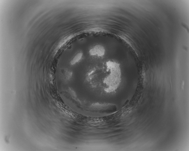 X0000103290823200808291331