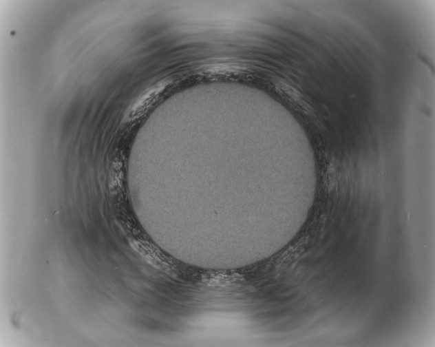 X0000103290824200808291331