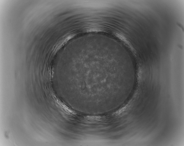 X0000103290825200808291331