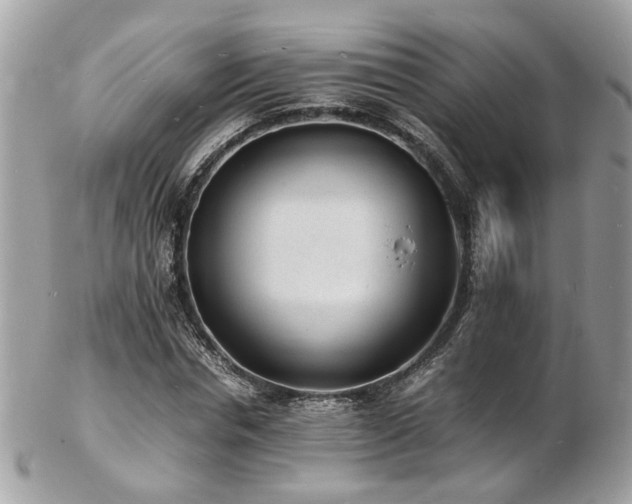 X0000103290826200808291331