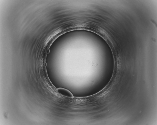 X0000103290827200808291331