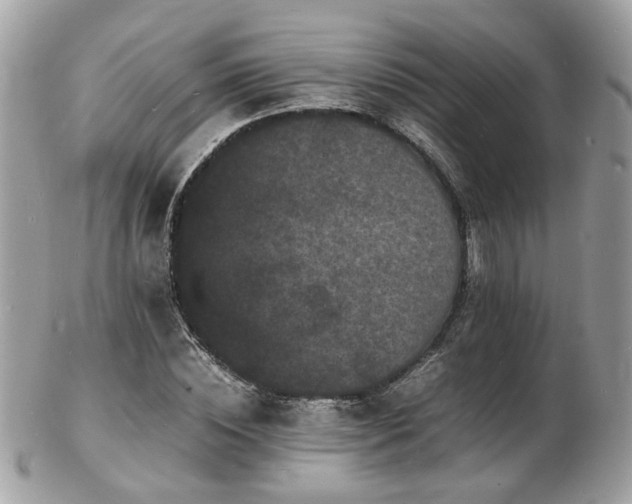 X0000103290828200808291331